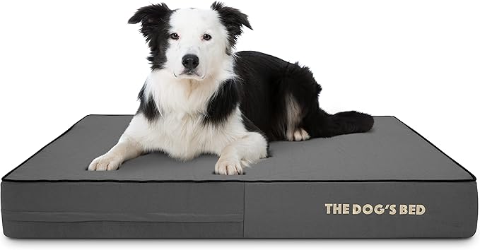 The Dog’s Bed Orthopedic Memory Foam Dog Bed for Large Dogs, Waterproof Washable Cover, Anti-Slip Base, Calming Surface – CertiPUR-Certified Foam, Grey with Black Trim, 6 Inch Thick