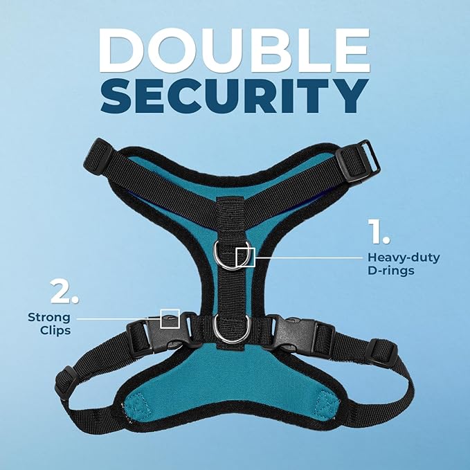 Voyager Step-in Pet Harness - All Weather Mesh, Adjustable Step in Harness for Cats and Dogs by Best Pet Supplies - Turquoise/Black Trim, L