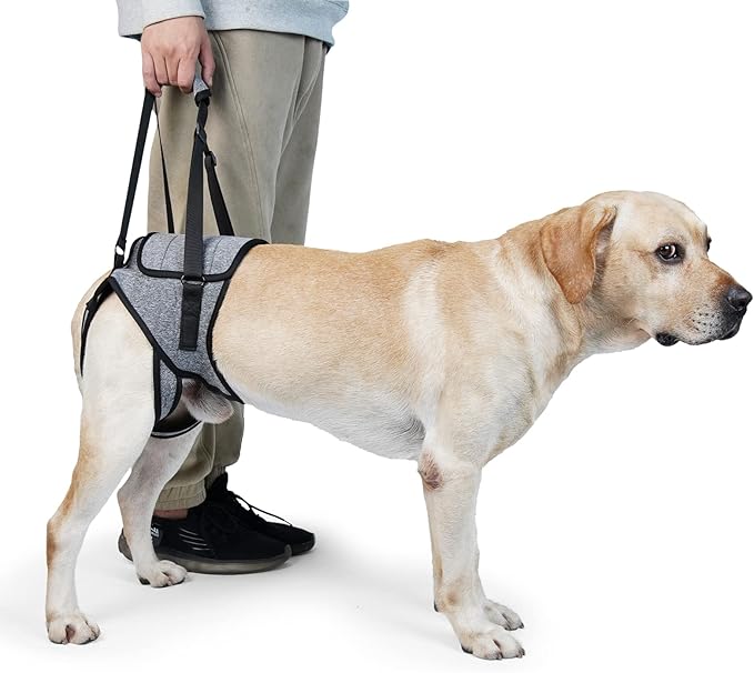 Dog Lift Harness, TORJOY Dog Sling for Small Medium Large Dogs, Dog Support Harness for Back Legs, Adjustable Soft Padded Pet Harness for Olderly, Injured, Arthritic, Disabled Dogs, Grey, L