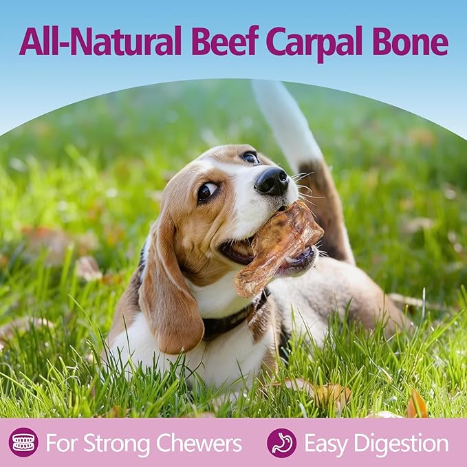All-Natural Beef Knuckle Bone for Dogs - Durable Chew Toy for Aggressive Chewers, Highly Digestible Adult Dog Treat Suitable for All Breeds