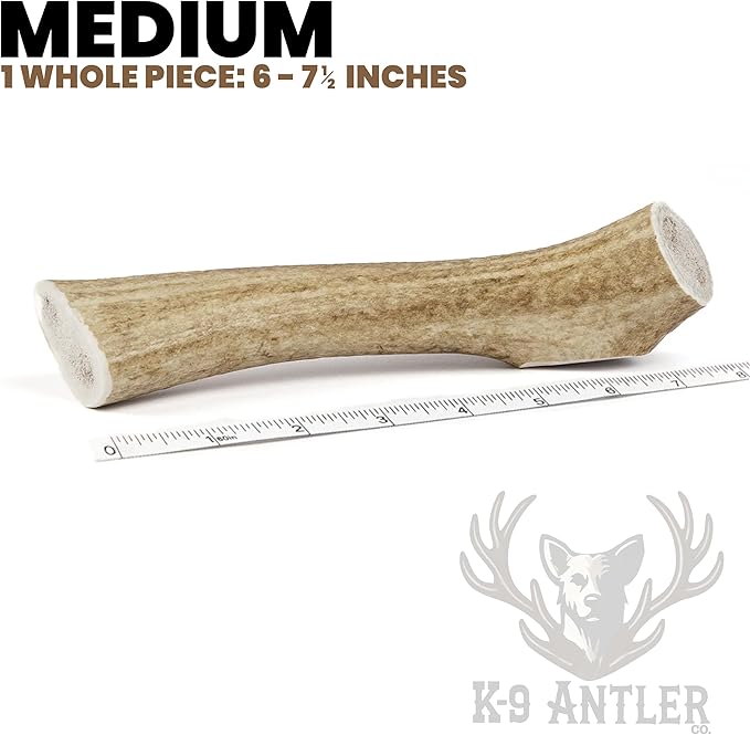 Elk Antlers for Dogs – Medium Whole (6-7.5 Inch), Durable Chew for Aggressive Chewers, USA Sourced, Naturally Shed & Ethically Harvested