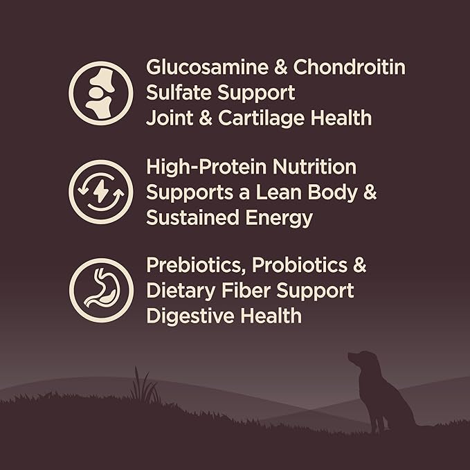 Wellness CORE Senior Dry Dog Food, Grain-Free, High Protein, Natural, Age Advantage Turkey & Chicken Recipe, (4-Pound Bag)