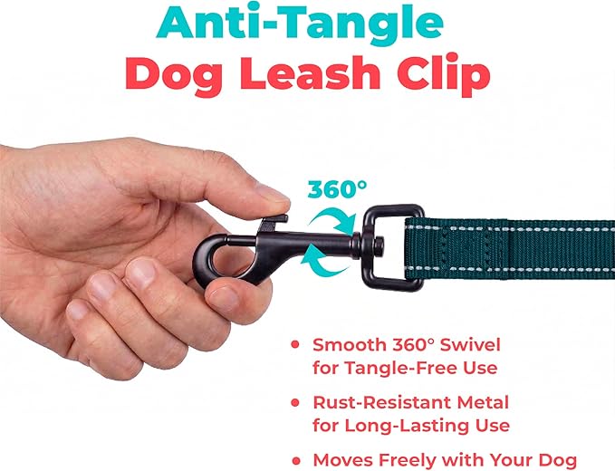 Best Pet Supplies Voyager Reflective Dog Leash or Collar with Neoprene Handle, for Small, Medium, and Large Breed Puppies, Cute and Heavy Duty for Walking, Running and Training - Blue (Leash), S