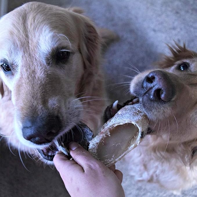 Full-Size Cow Hooves for Dogs | (10 Pack) All-Natural Long Lasting Dog Chews | Made from Grass Fed Cattle | Tasty Treat for Oral Hygiene | Fantastic Alternative for Rawhide and Bully Sticks