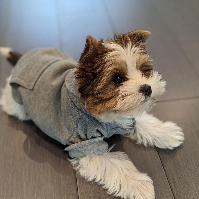 Jecikelon Winter Dog Hoodie Sweatshirts with Pockets Warm Dog Clothes for Small Dogs Chihuahua Coat Clothing Puppy Cat Custume (Grey, Medium)