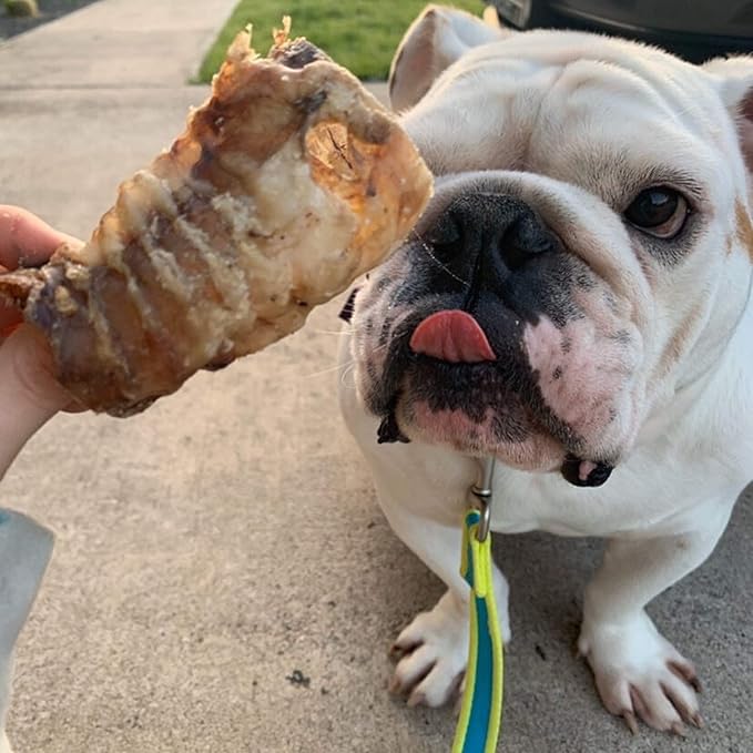 Dog Chews – Beef Trachea Dog Treat Chew Made in USA. Grass Fed Farm-Raised American Beef. Glucosamine Rich for Healthy Joints. All Natural Dental Chew (3" 4 PCS)