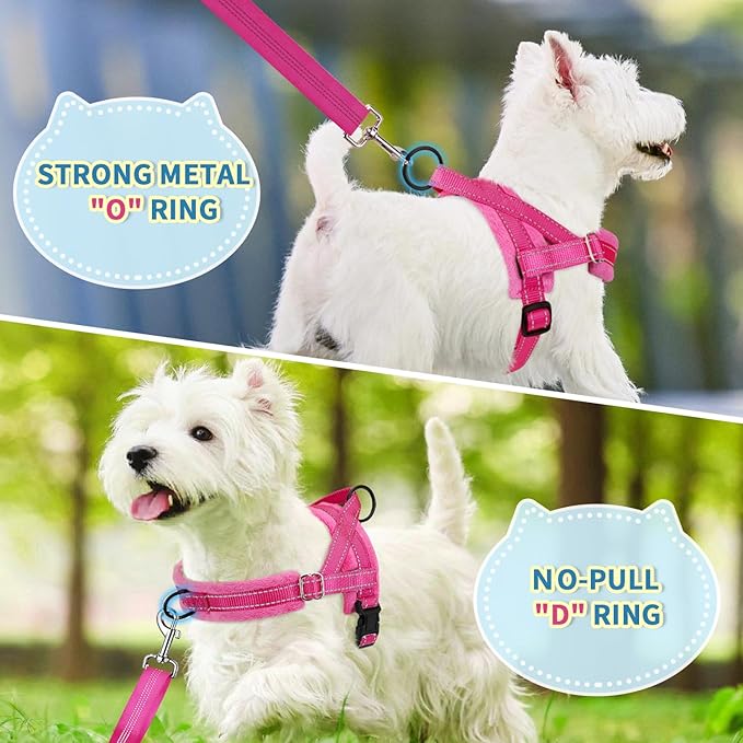 SlowTon No Pull Small Dog Harness and Leash Set, Puppy Soft Vest Harness Neck & Chest Adjustable, Reflective Lightweight Harness & Anti-Twist Pet Lead Combo for Small Medium Dogs (Fuchsia, XXS)