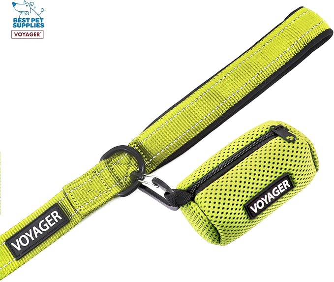 Voyager Step-in Air All Weather Mesh Harness and Reflective Dog 5 ft Leash Combo with Neoprene Handle, for Small, Medium and Large Breed Puppies by Best Pet Supplies - Green, XX-Small