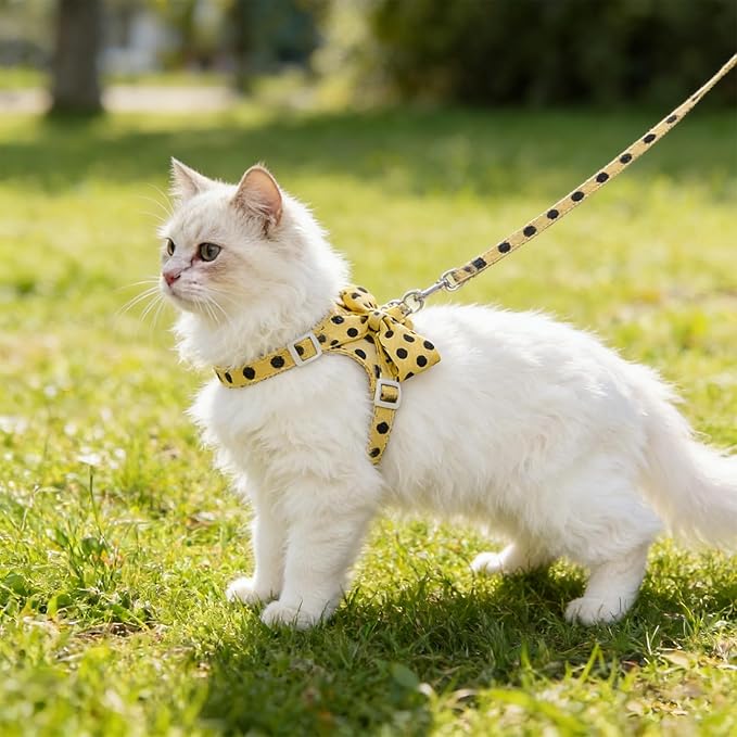 Cat Harness and Leash Set, Sweet Bow Kitten Collar, Escape Proof Extra Small Dog Harness, Cute Polka Dot Print Puppy Collar, Dog Leash for Boy Girl Small Dogs Kittens Outdoor Walking (Yellow, S)