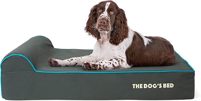 The Dog’s Bed Orthopedic Memory Foam Dog Bed with Headrest, Calming Surface – CertiPUR-Certified Foam, Oxford Fabric, Grey with Blue Trim, Large, 6-Inch