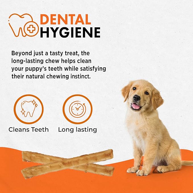 Canine Naturals Puppy Chicken and Rice Chew - Rawhide Free Puppy Treats - Made with USA Chicken - All-Natural & Easily Digestible - 10 Pack of 5-Inch Sticks for Puppies