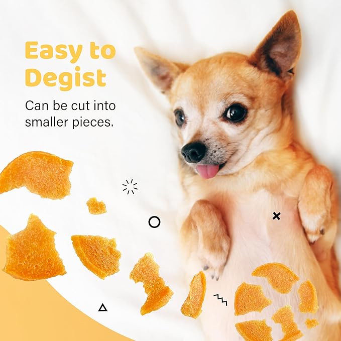 iPaw Turkey Chips Dog Treats for Puppy Training, All Natural Human Grade Dog Treat, Hypoallergenic, Easy to Digest (Turkey Chips)