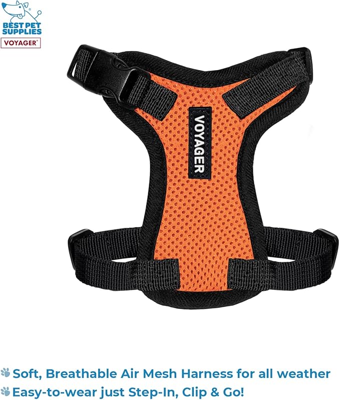 Voyager Step-in Lock Adjustable Cat Harness w. Cat Leash Combo Set with Neoprene Handle 5ft - Supports Small, Medium and Large Breed Cats by Best Pet Supplies - Orange/Black Trim, XXS (Pack of 2)