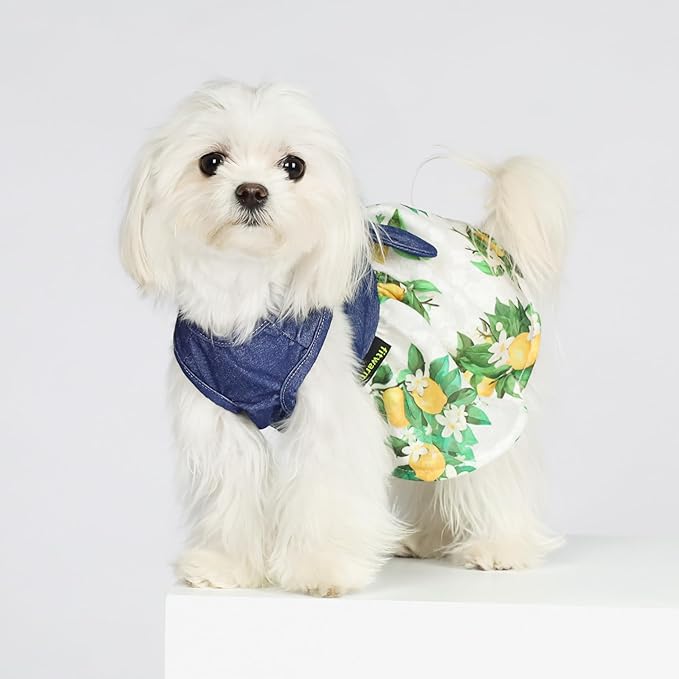 Fitwarm Lemon Denim Dog Dress, Dog Clothes for Small Dogs Girl, Pet Cat Outfit, Blue, White, Yellow, Green, XXS