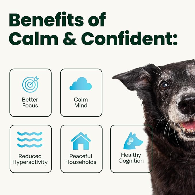 VetriScience Senior Calm & Confident Soft Chews with Colostrum and L-Theanine, Golden Years Calming, Cognition and Brain Health, Sundowners Supplement for Senior Dogs, Chicken, 60 Count