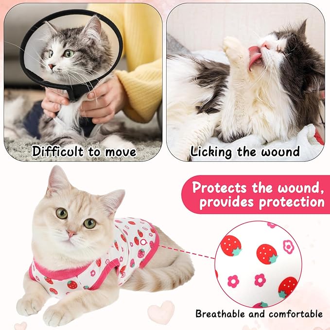 6 Pack Recovery Suit for Cats, Breathable Female and Male Onesie Cat Recovery Suit E Collar Alternative Pajama for After Surgery Spay Abdominal Skin Anti Licking(Medium)