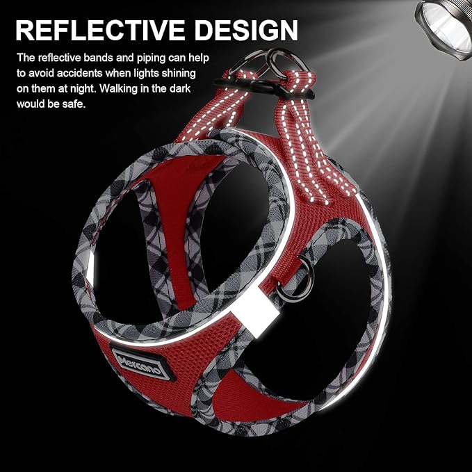 Mercano Soft Mesh Dog Harness and Leash Set, No-Chock Step-in Reflective Breathable Lightweight Easy Walk Vest Harnesses with Safety Buckle for Small Dogs, Cats (Red, S)