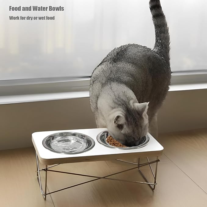 Stainless Steel Cat Bowls, Whisker Friendly Shallow Cat Food Bowls, Small Metal Pet Dish for Kittens and Indoor Cats, Basic Replacement Plates for Elevated Feeder Stands (5.5in-8Pcs)