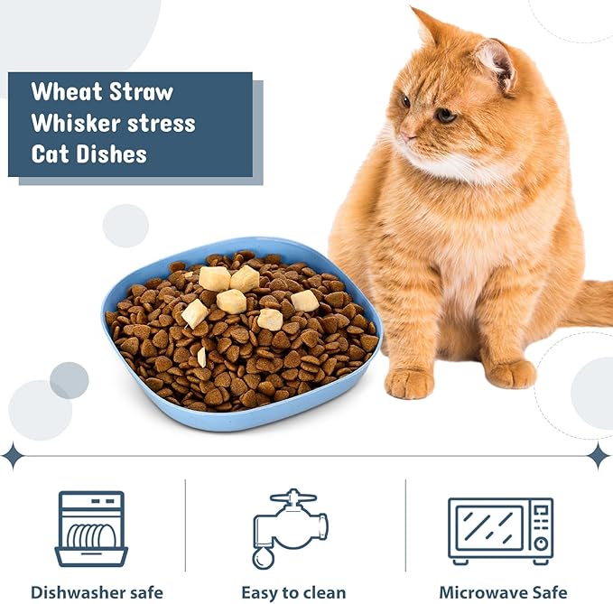 Tioncy 24 Pcs Fatigue Relief Cat Bowl 5.7 Inch Shallow Cat Food Dish Wide and Small Pet Wet Feeding Bowl for Kitten Short Legged Kitten Ferrets Feral Small Animals(Blue, Green, Pink, Beige,Classic)