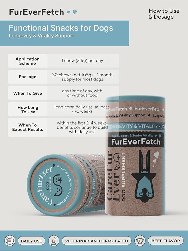 Senior Dogs Cognitive Support | Premium Canine Longevity Stack | Lion's Mane, Turkey Tail & Phosphatidylserine | Biohacking Brain Health Formula | Beef Flavor