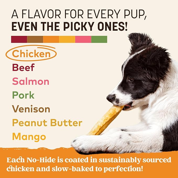 Earth Animal No Hide Chews - Long Lasting Rawhide Free Medium Dog Chews Rolls, Chicken - 2 Count