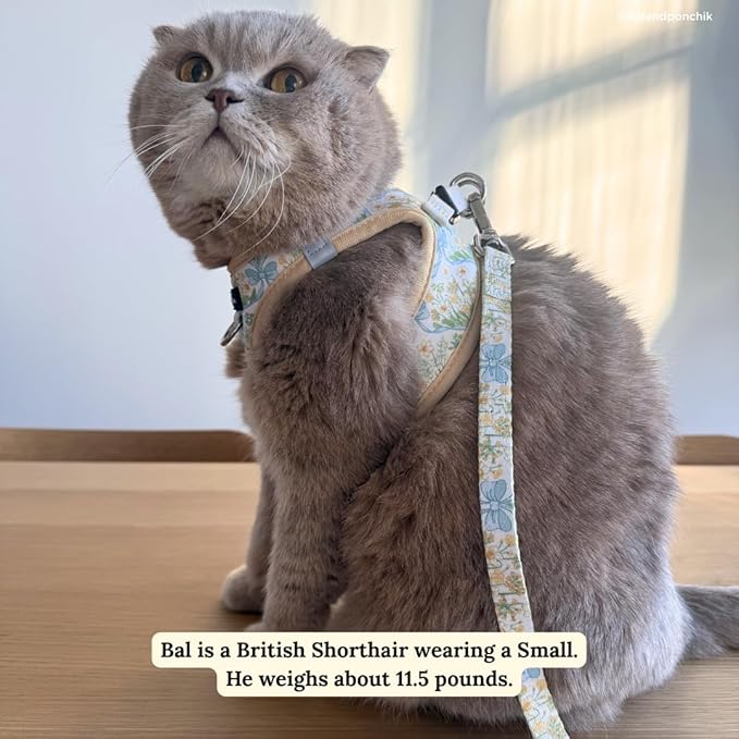 Lucy & Co. Sunshine and Daffodils Step-in Cat Harness and Leash Set Bundle, Reflective, Breathable & Adjustable Harness for Cats, Kittens & Small Dogs, Lightweight & Secure - X-Small