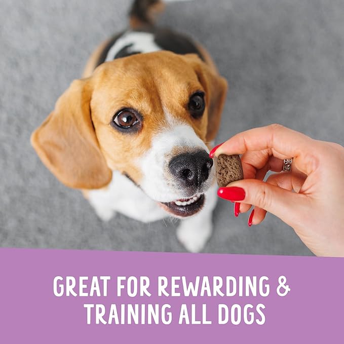 Health Extension Crunchy Munchies Granola Bites Blueberry Ruffin Flavor, Natural Limited Ingredient Dog Treats with Rolled Oats & Coconut Oil, Made in The USA (5oz Bag)