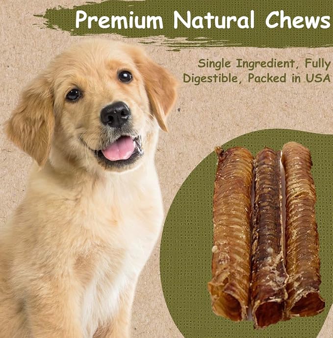 Top Dog Chews – 12” Beef Trachea Dog Chews 10 Pack, American, All Natural, Single Ingredient Dog Treat, Promotes Joint, Hip & Dental Health, High in Protein for Medium & Large Dogs