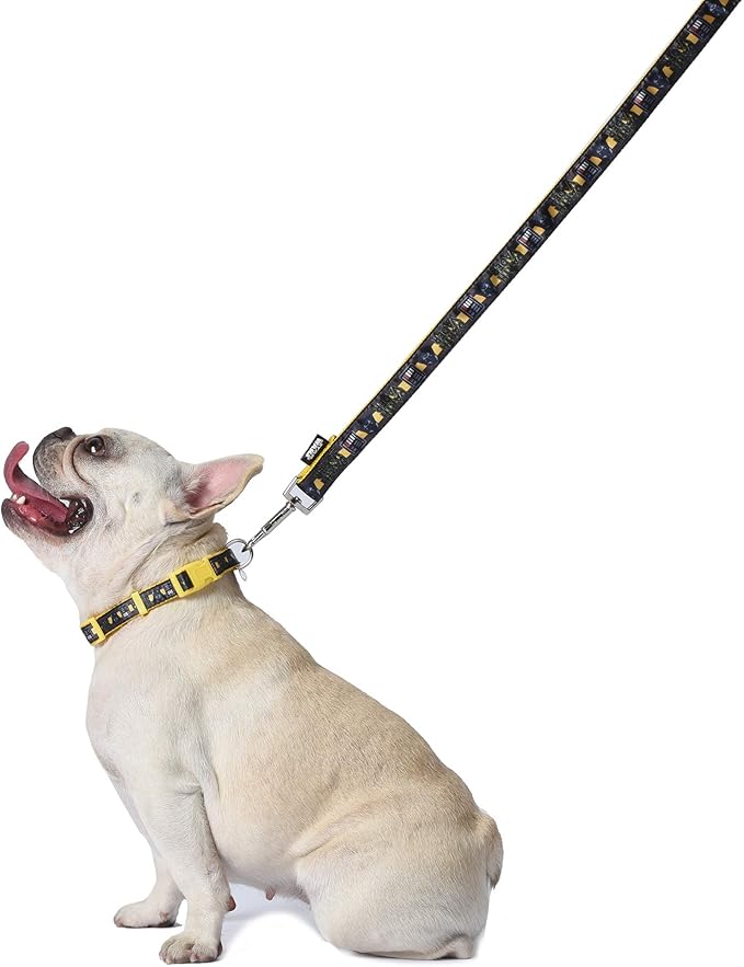 Star Wars Darth Vader Dog Leash - Cute Dog Lead Easily Attaches to Any Collar or Harness - Officially Licensed Pet Walking Leash, 6 Foot (72 Inch)