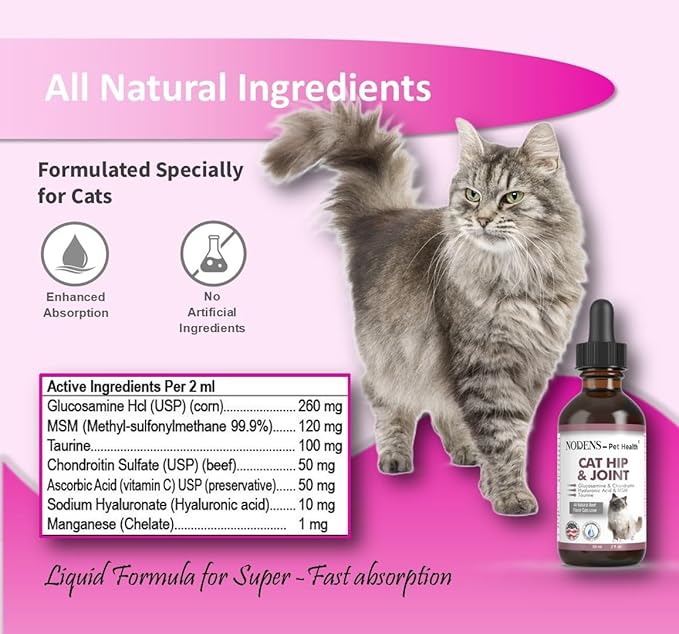 NODENS Cat Hip and Joint Liquid Glucosamine for Cats with Chondroitin – All Natural Cat Joint Supplement for Senior Cats Pain Relief Anti-inflammatory for Improved Joint Flexibility & Mobility 2oz
