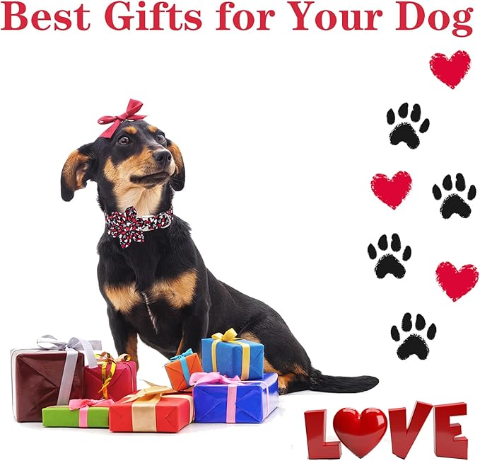 Unique style paws Valentine's Day Dog Collar with Flower Tie Black & Red Heart Puppy Collar Best Gothic Style Gift for Small Medium Large Boys Girls-XS