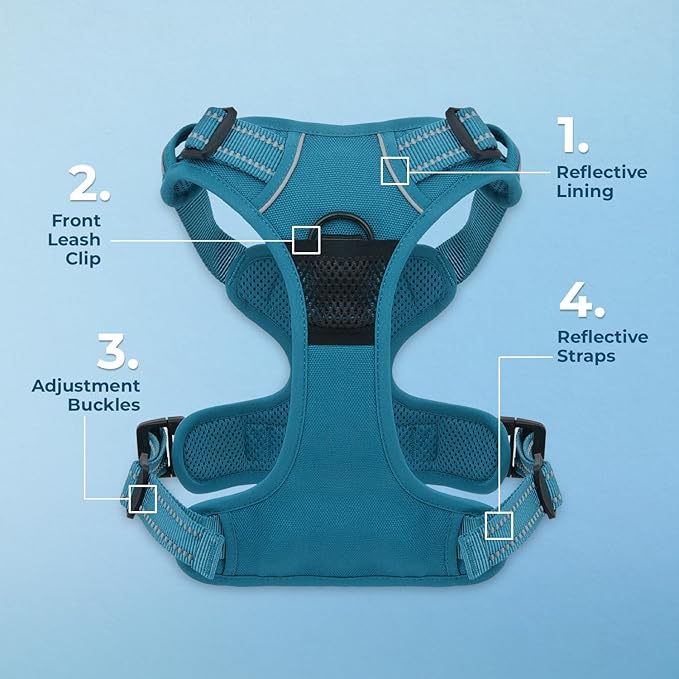 Voyager Dog Harness Dual Leash Attachment No-Pull Control Adjustable Soft but Strong Pet Harness for Medium and Large Dogs with 3M Reflective Technology, Leash Set Turquoise Nylon, XL (Chest: 28-37")