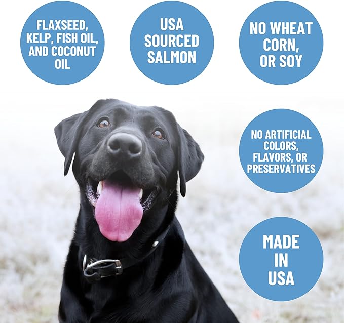 Grandma Mae's Country Naturals Jerky Squares Skin & Coat Dog Treats, Salmon with Flaxseed, Kelp, Fish Oil & Coconut Oil, No Wheat, Corn, or Soy, Made in USA, 5 oz
