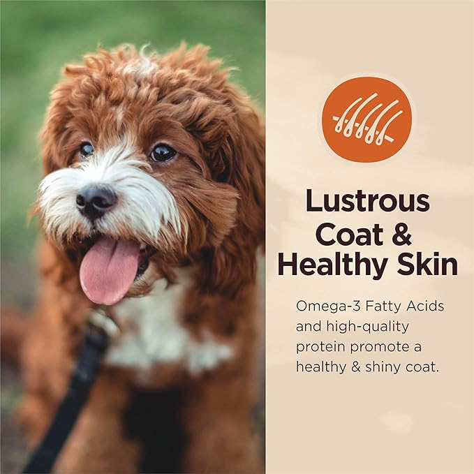 Wellness CORE Digestive Health Lamb Grain Free Wet Dog Food, 13 Ounce Can (Pack of 12)