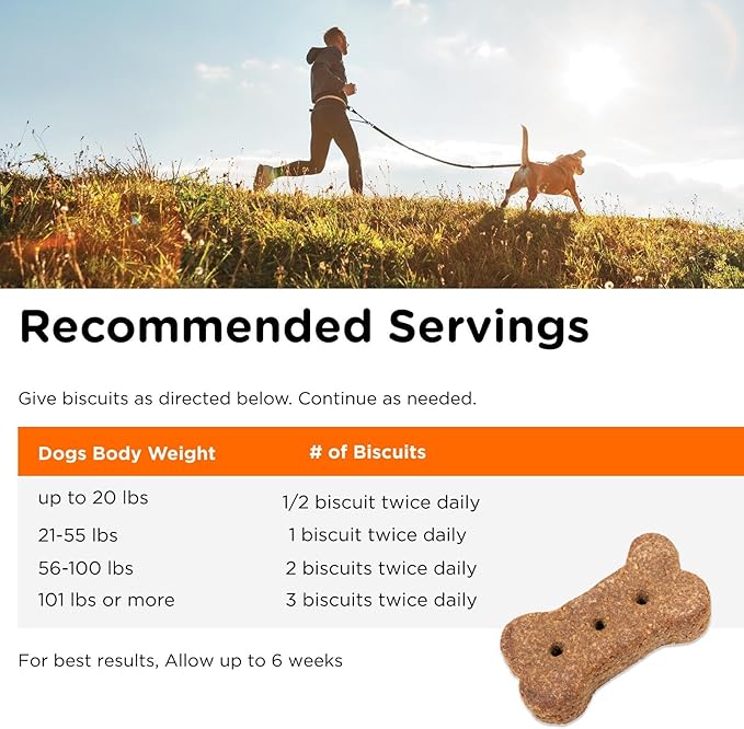 Nutri-Vet Skin & Coat Biscuits, Skin and Coat Supplement, Dog Treat, Dog Supplements, Omega 3 Fish Oil, Small Sized Biscuit, Made with Omega 3 and Biotin, Fish Oil Treat for Pets, 16 oz (Pack of 2)