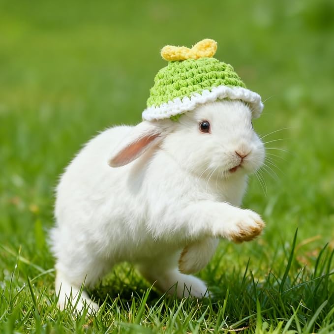 12 Pcs Hamster Hats Mini Party Hats for Small Animals, Cute Hand Knitted Tiny Hats for Snakes Lizards Bearded Dragon Guinea Pig Easter Bunny Reptile Pets Clothes Party Costume Accessories