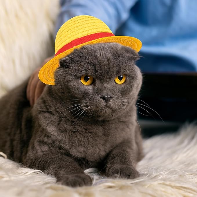 Beautyflier Pet Straw Hat Party Decorations Halloween Cosplay Cap Puppy Pet Dog Cat Holiday Costume for Small Dog Cat (Beige + Yellow)