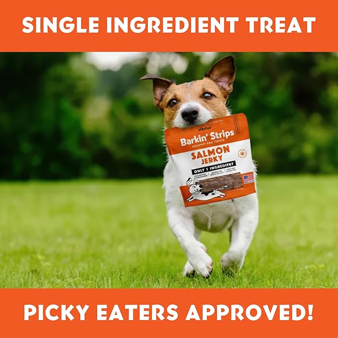 Barkin Burger Strips Made of Only Salmon Grain-Free Dog Treats 12 oz Pouch Premium One-Ingredient, All-Natural, Low-Fat, Lean Protein Jerky Treats for Dogs and Breeds