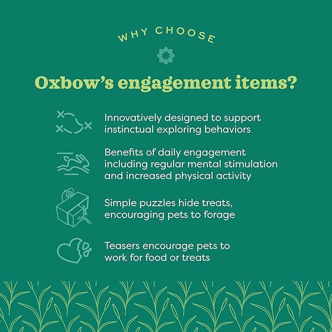 Oxbow Enriched Life Apple Stick Hay Feeder, Rabbit Toys, Guinea Pig Toys, Enrichment for Bunny, Guinea Pig, Hamster, Rabbit, Chinchilla, Chinchilla Cage Accessories, Small Pet Accessories for Cage
