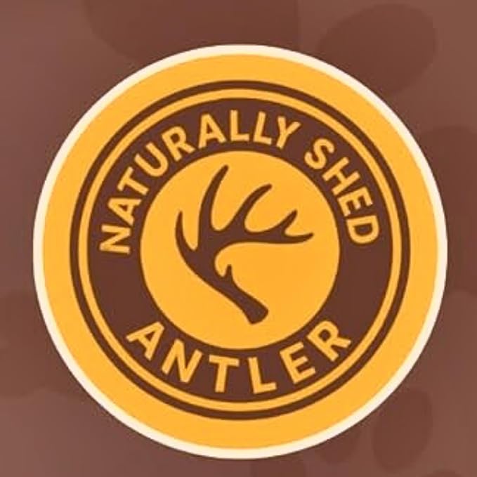 Whitetail Naturals Split Elk Antlers for Dogs (1 lb Bulk Pack) Premium Antler Chews for Medium to Large Dogs – Grade A, Wild Sourced & Naturally Shed (Approx. 4-5 Count)