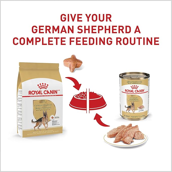 Royal Canin Breed Health Nutrition German Shepherd Adult Dry Dog Food, 17 lb Bag