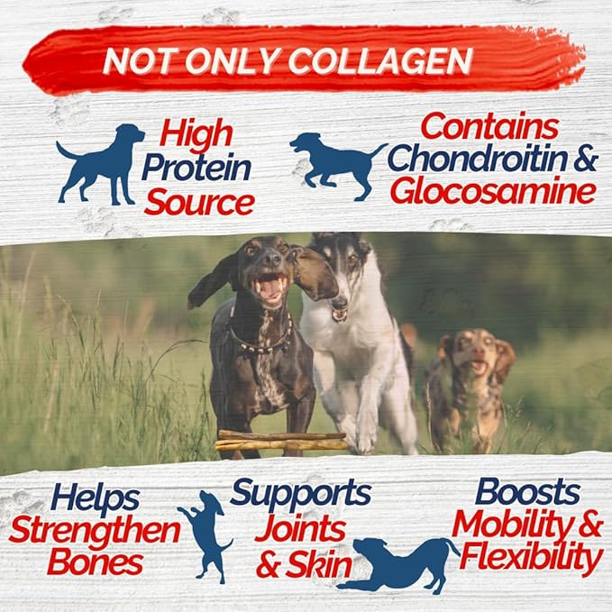 Natural Collagen Sticks for Dogs 5 Pack - 12 Inches – Long-Lasting Alternative to Bully Sticks, Rawhide-Free Collagen Chews w/Chondroitin & Glucosamine for Joint Support & Dental Health