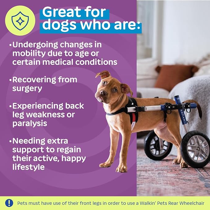 Walkin' Wheels Small Dog Wheelchair, Lightweight Dog Wheelchair for Back Legs, 15-25 lbs, for 9-11 inches Leg Height - Blue