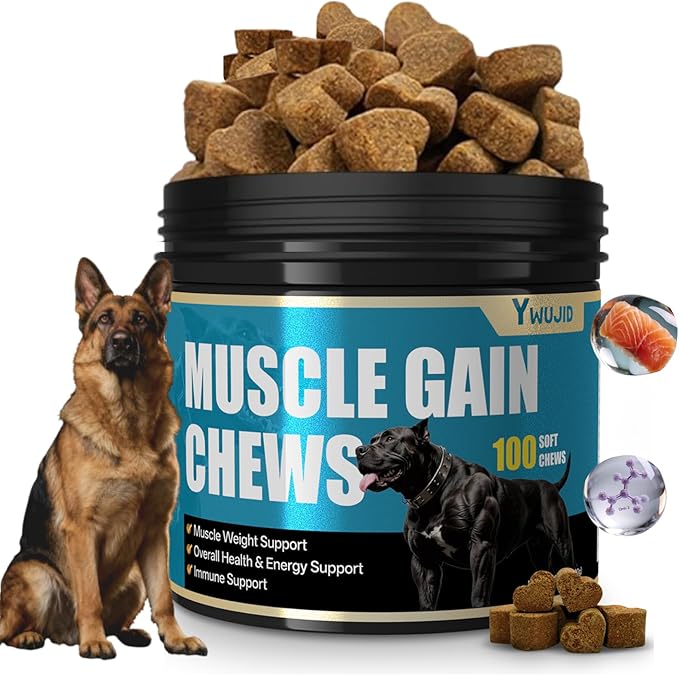 Dog Muscle Gain Power Chews-Canine Weight Gainer Formula,High Protein,Multivitamins,Overall Health & Energy,Immune Support,Premium Natural Muscle Building Supplement for Puppies & Adult Dogs
