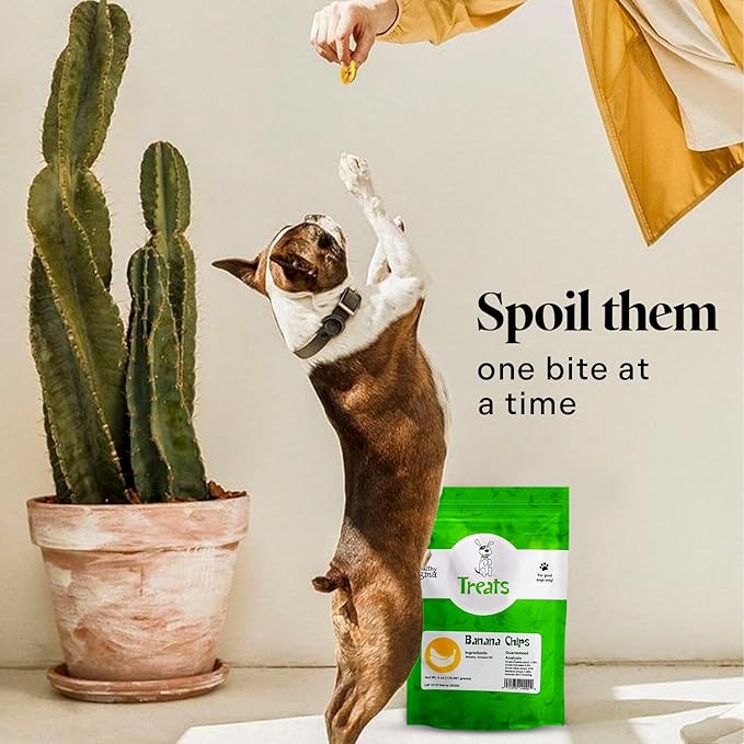 Healthy Dogma Banana Chips Treat for Dogs - All-Natural, & Clean Ingrediant Snacks - Supports Digestion, Energy & Immune Health - Perfect for Training & Sensitive Stomachs,(8 oz)