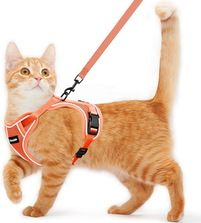 Cat Harness and Leash for Walking Escape Proof Soft Adjustable Cat Leash Breathable Comfortable Vest Easy to Wear Kitten Harness for Outdoor Travel (Orange, XS (4-6lb))