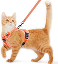 Cat Harness and Leash for Walking Escape Proof Soft Adjustable Cat Leash Breathable Comfortable Vest Easy to Wear Kitten Harness for Outdoor Travel (Orange, S (7-12lb))