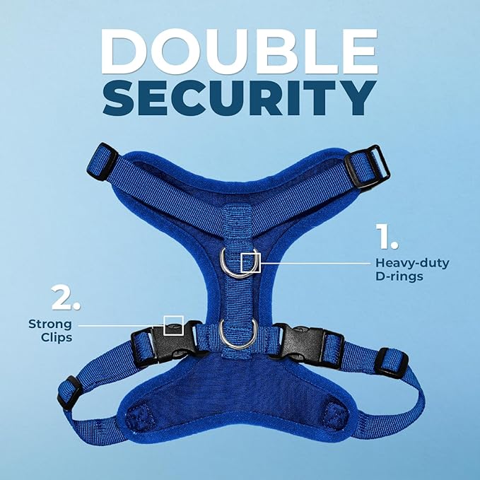 Best Pet Supplies Voyager Step-in Lock Pet Harness w Reflective Pet Leash Combo Set with Neoprene Handle 5ft - Supports Small, Medium and Large Breed Puppies/Cats - Royal Blue Set, M