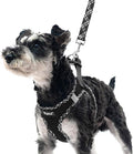 PUPTECK Dog Harness and Leash Set for Small Medium Dogs No Pull Step-in Soft Mesh Puppy Cat Vest Harnesses Reflective at Night, Black M