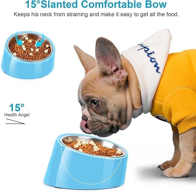 Tilted Dog Bowl Non-Slip & Non-Spill Pet Feeder with Elevated Detachable Melamine Stand, Easy to Get Food Dog Dish, L/300ml Sky Blue